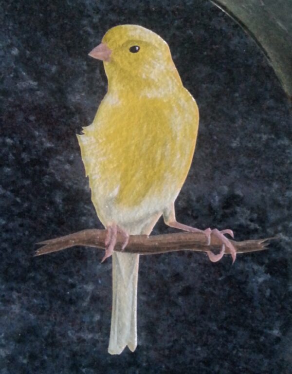 Canary