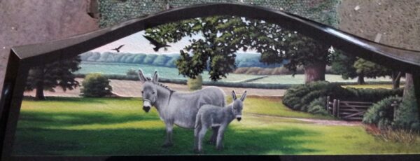 Donkey Scene