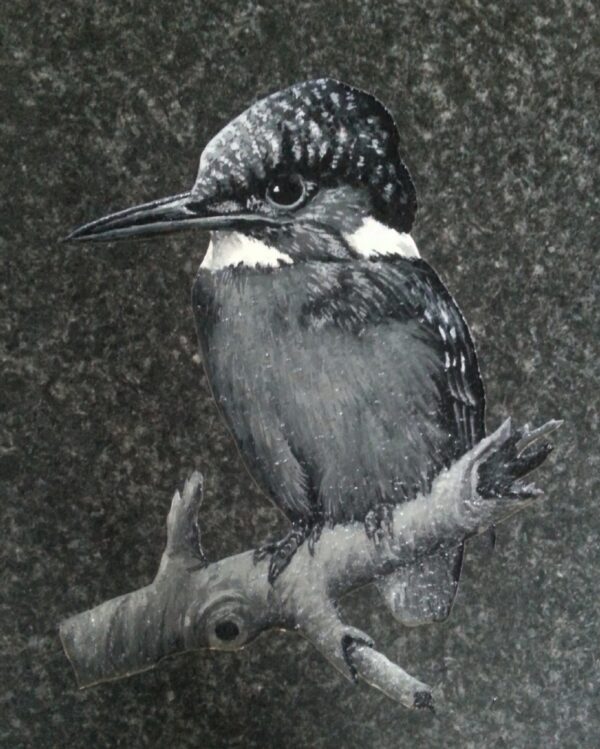 Monotone Kingfisher